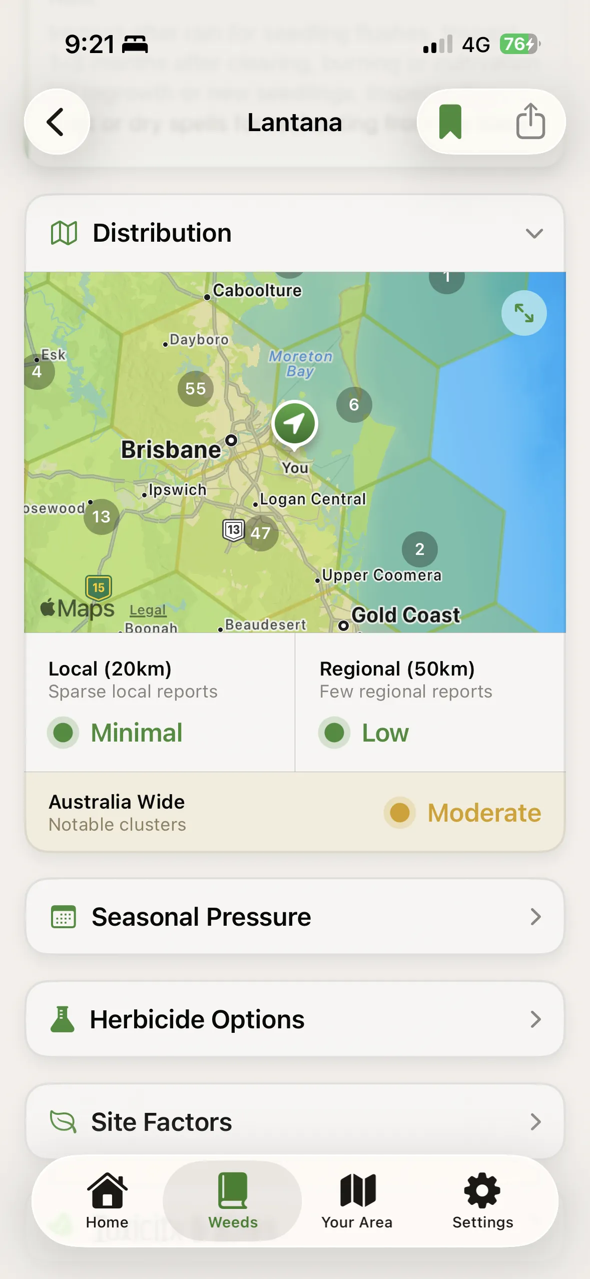 WeedScout distribution map for Lantana with local, regional and national pressure