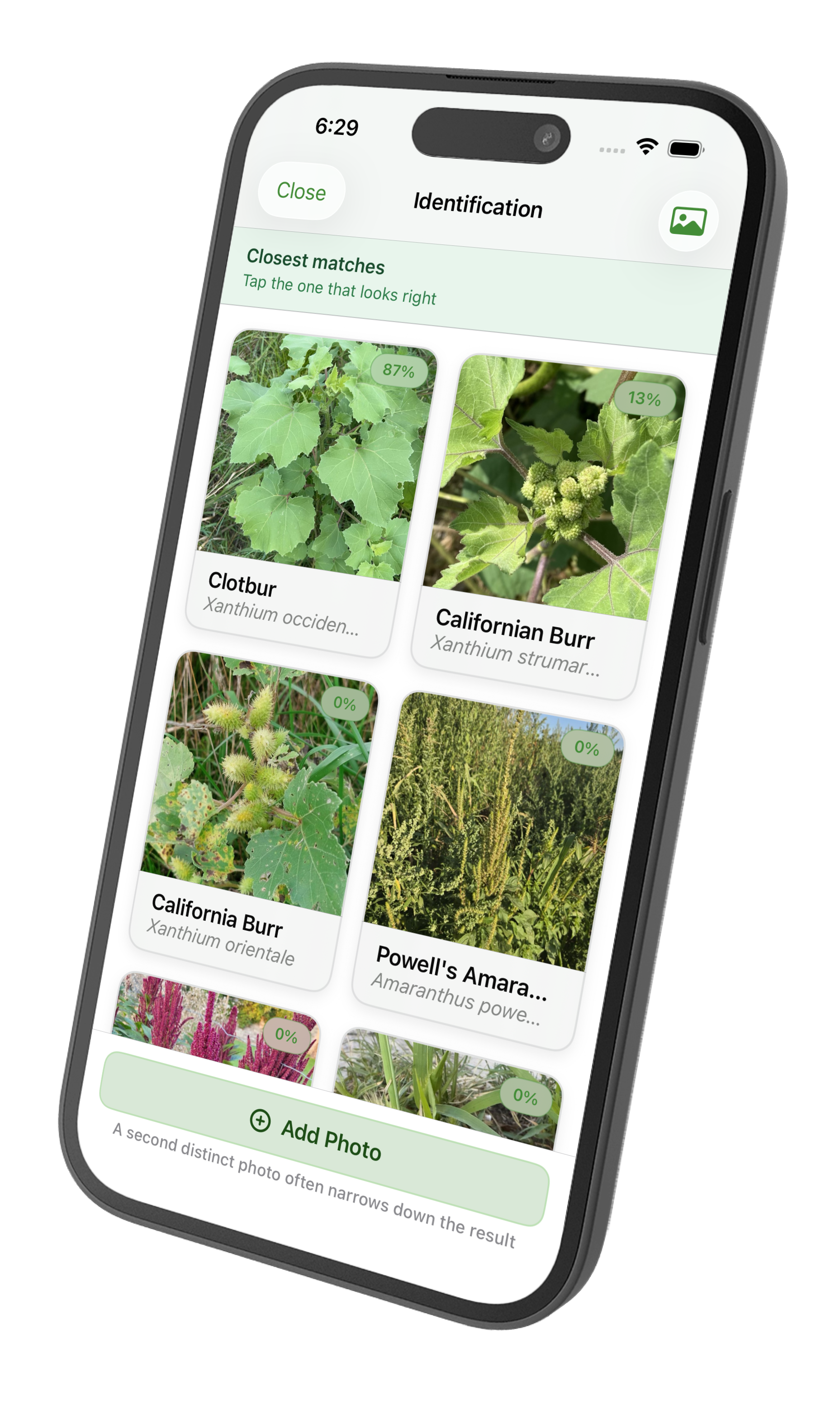WeedScout app showing weed identification results