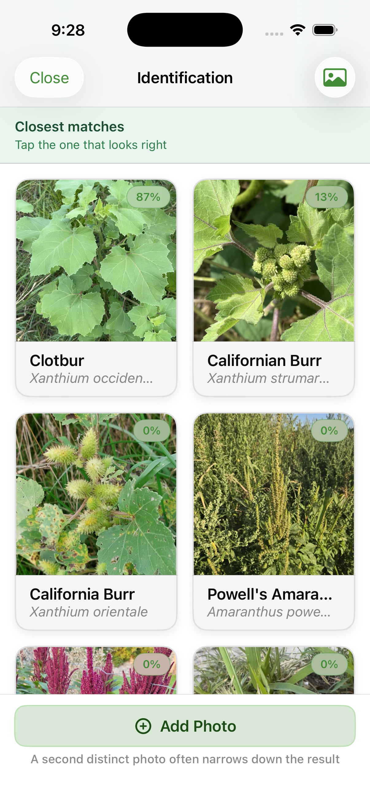 WeedScout ranked identification results