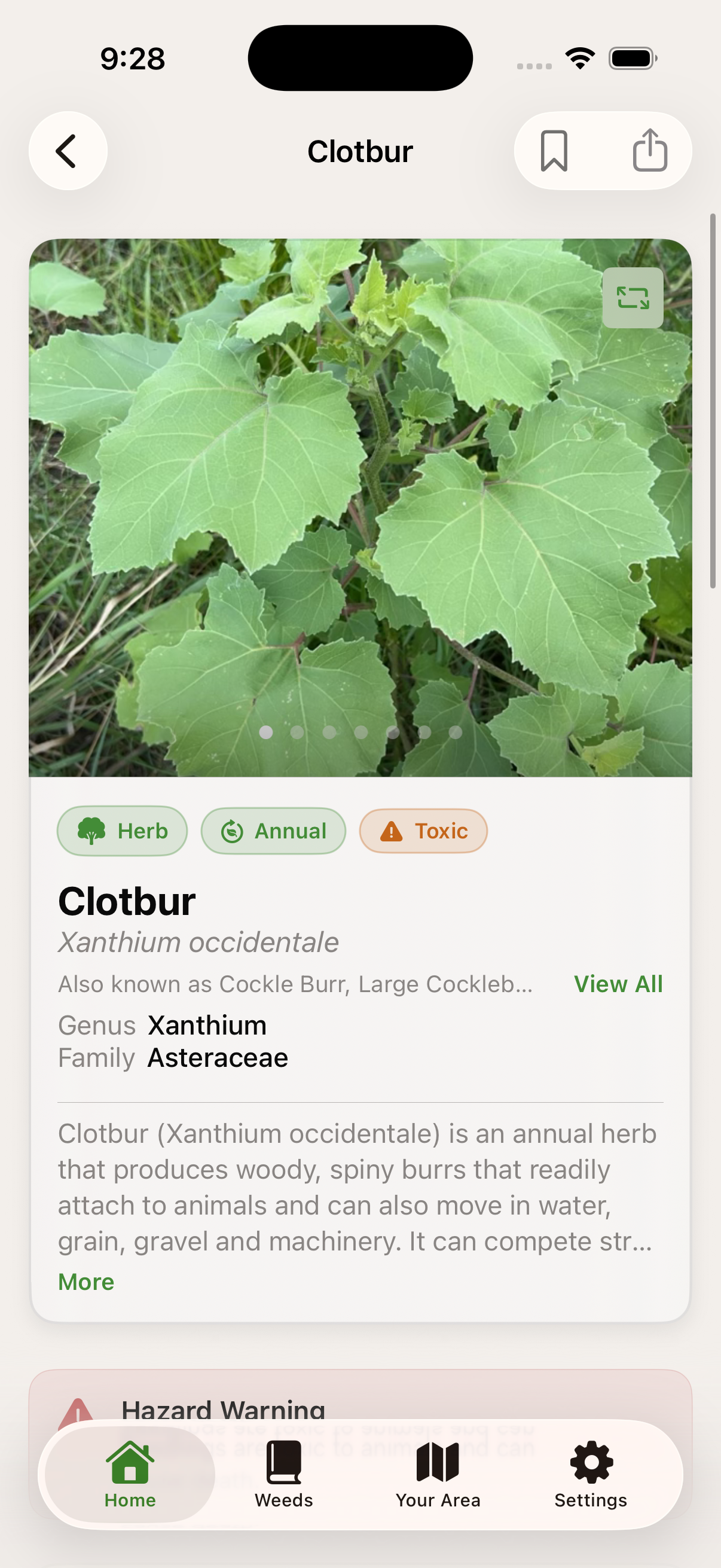 WeedScout species detail with control guidance